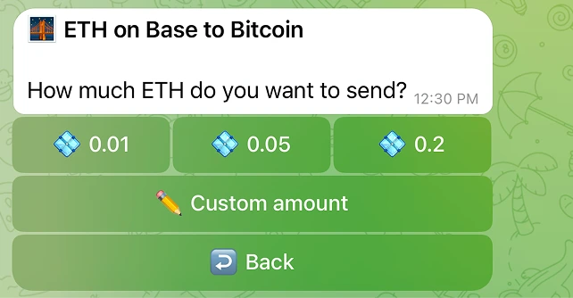 第 4 步：金额预设，或用 Custom amount 自行输入。