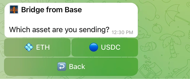 第 3 步：所选网络上可用的资产。