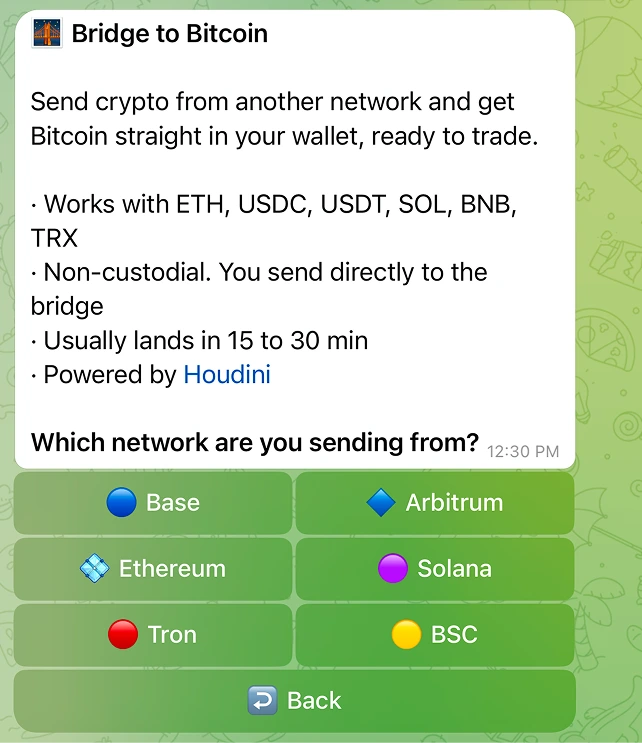 Bridge 界面：功能说明，以及网络选择器。
