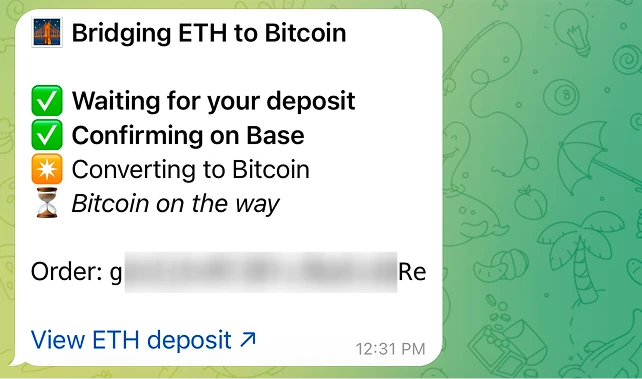两个阶段已完成。卡片会链接到你在源网络上的存款交易。