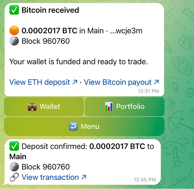 Bitcoin received：金额、钱包、区块，以及一键前往 Wallet 或 Portfolio。