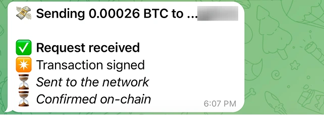 The live send checklist when BTC goes out to another wallet: Request received, Transaction signed, Sent to the network, Confirmed on-chain, Delivery verified, with a View transaction link.